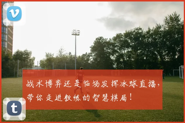 战术博弈还是临场发挥冰球直播，带你走进教练的智慧棋局！