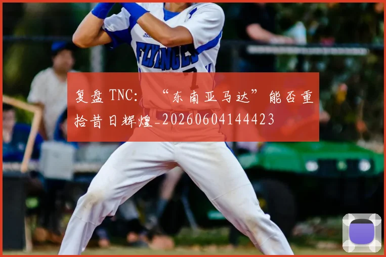复盘 TNC： “东南亚马达”能否重拾昔日辉煌_20260604144423