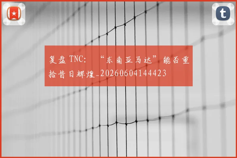 复盘 TNC： “东南亚马达”能否重拾昔日辉煌_20260604144423