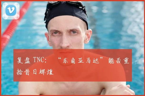 复盘 TNC： “东南亚马达”能否重拾昔日辉煌