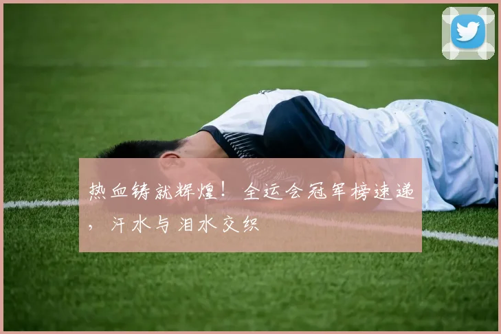 热血铸就辉煌!全运会冠军榜速递,汗水与泪水交织